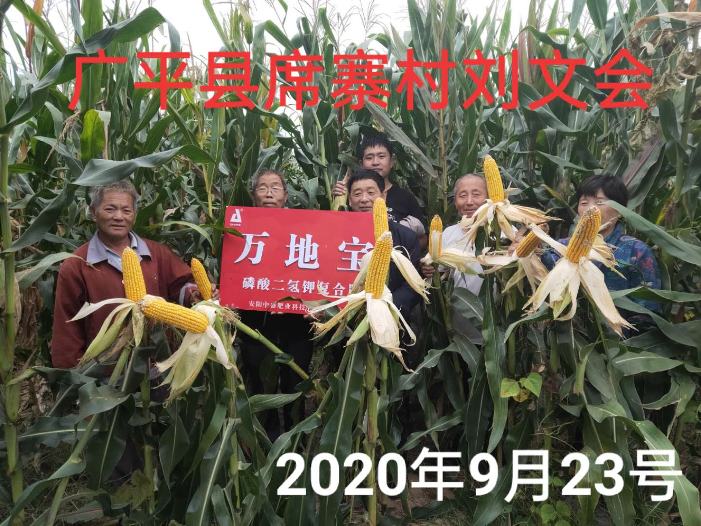 王大爺為什么主動給劉經(jīng)理打電話說玉米復合肥的事？