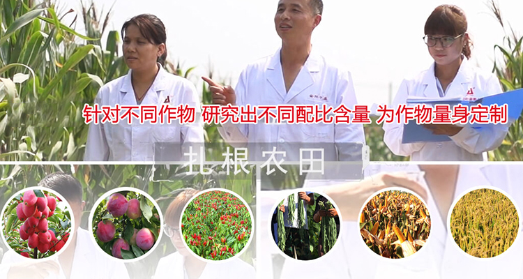 復(fù)合肥-復(fù)合肥生產(chǎn)廠家-高塔復(fù)合肥-大量元素水溶肥-微生物菌肥生產(chǎn)廠家-安陽中盛肥業(yè)科技有限責(zé)任公司